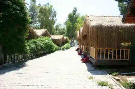 Sugar Beach Club - 31