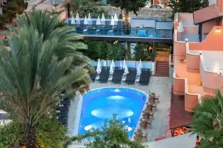 May Flower Apart - 35