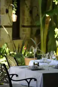 Tuvana - 81