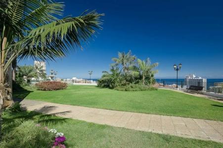 Atlantic El Tope - 31