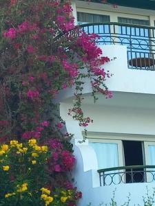 Safir Sharm Waterfalls Resort - 97