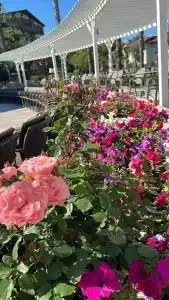 Papillon Belvil Holiday Village - 14