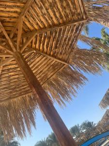 Hurghada Long Beach Resort - 82