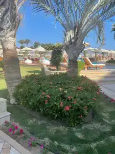 Premier Le Reve & Spa Sahl Hasheesh - Adults Only 16 Years Plus - 28