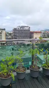 Best Western Patong Beach - 41