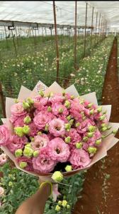 Lujo A`la Carte All Inclusive - 51