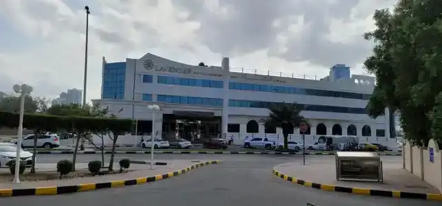 Lavender Sharjah - 6