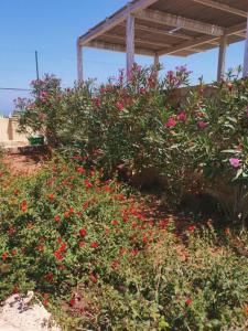 Kalimera Kriti & Village Resort - 21