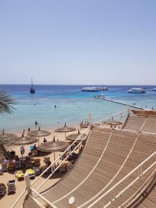 Sentido Reef Oasis Senses Aqua Park Resort - 68