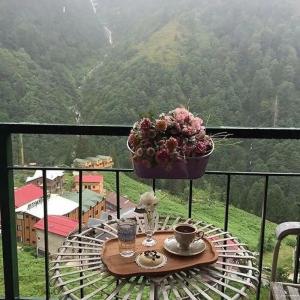 Ayder Doga Resort - 17