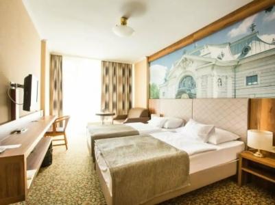 Aranyhomok Business City-Wellness-Hotel - 30