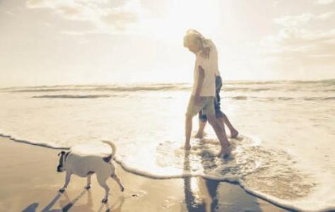 Panama Majestic - 18