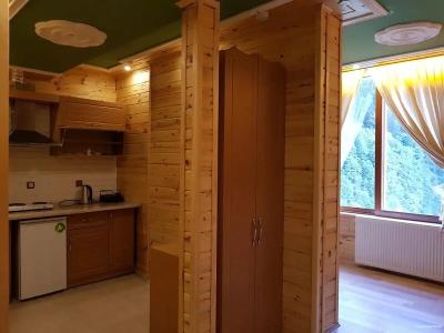 Ayder Doga Resort - 10