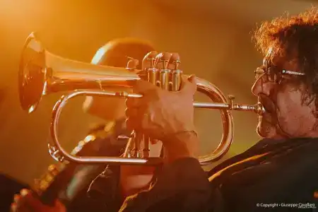 Alli Due Buoi Rossi - 47