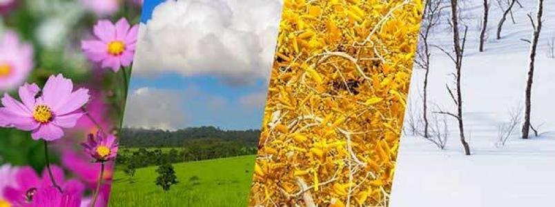 Camping Village Cavallino - 89