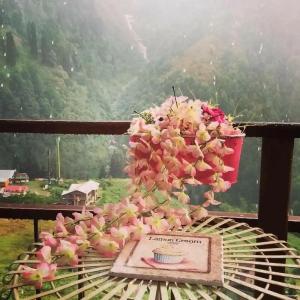 Ayder Doga Resort - 20