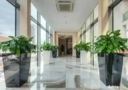 TQ Plaza - 41