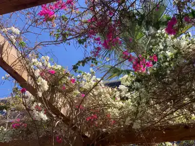 Lido Sharm Naama Bay - 65