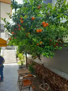 Park Boutique Rooms & Apart - 22