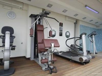 Panama Majestic - 65