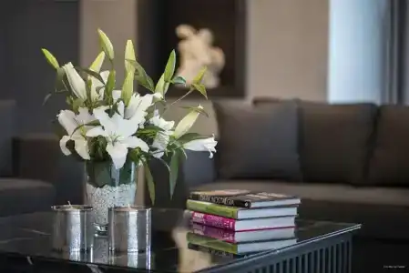 Wish More Istanbul - 54