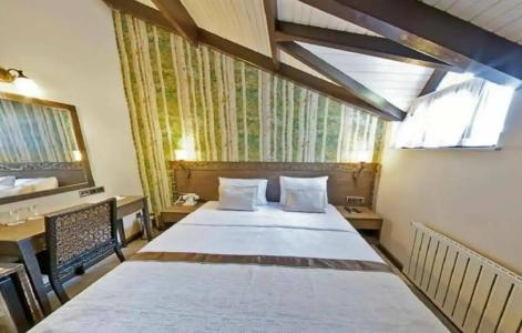 Assos Behram Special Class Adult Only 12 - 65