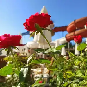 Transatlantik & Spa - 30