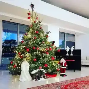 Airotel Stratos Vassilikos - 10