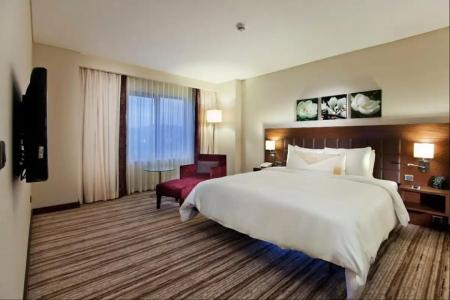 Hilton Garden Inn Sanliurfa - 27