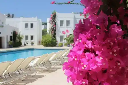 Seckin Konaklar - 36