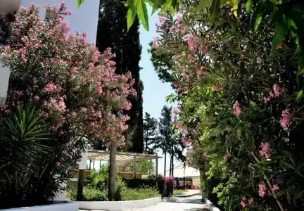 LIV by Bellazure - 4