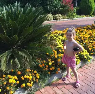 Sunis Elita Beach Resort & SPA - 46