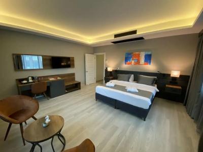 The Plaza Edirne - 21