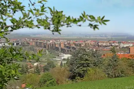 Alli Due Buoi Rossi - 3