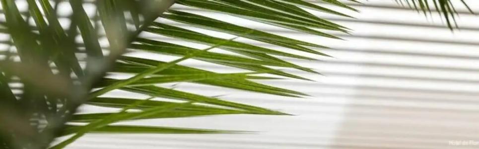 The Deck by Happyculture - 56