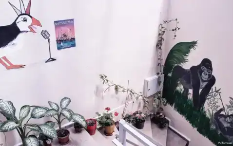 Puffin Suites - 9