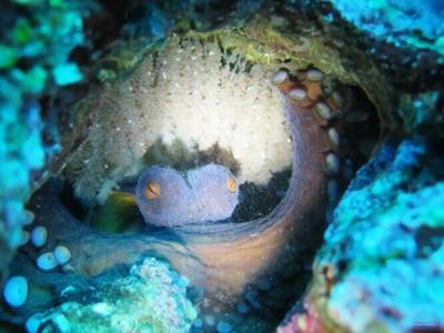 Santa Caterina Village Club - 40