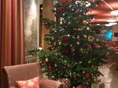 Elbflorenz Dresden - 6