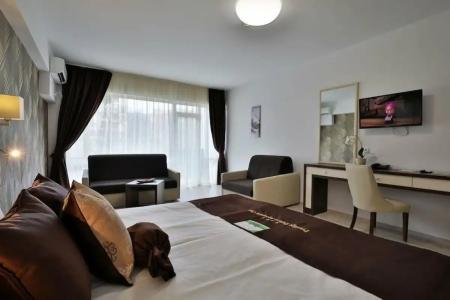 Prestige Deluxe Aquapark Club - All inclusive - 96