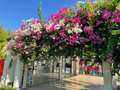 Mirage Park Resort-Ultra All Incl. - 8