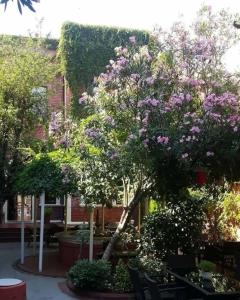 Kervansaray Canakkale - Special Category - 9