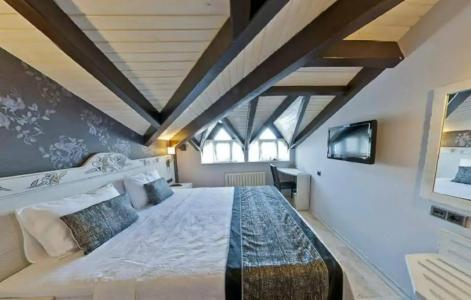 Assos Behram Special Class Adult Only 12 - 60