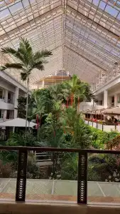 Dusit Thani Pattaya - SHA Extra Plus - 36