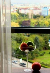 Rosslyn Central Park Sofia - 17