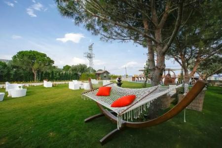 Assos Barbarossa - Special Category - 81