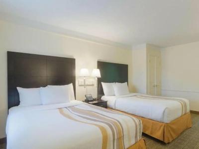 Quality Erlangen - 37