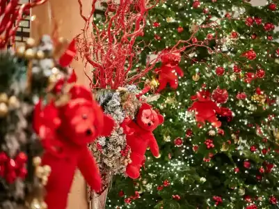 Hôtel Plaza Athénée - Dorchester Collection - 27