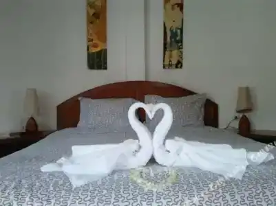 Mango Spa & Resort - 5