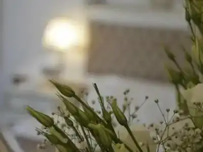 Tuvana - 19