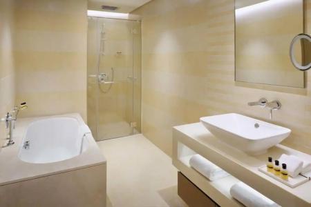 Hyatt Regency Dubai Creek Heights - 62